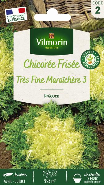 Potagères - Chicorée Frisée Très Fine Maraîchère 3 - face recto